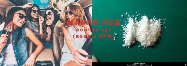 стаф Гатчина