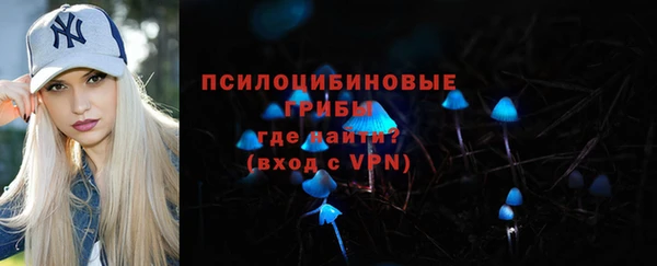 молекула духа Пролетарск