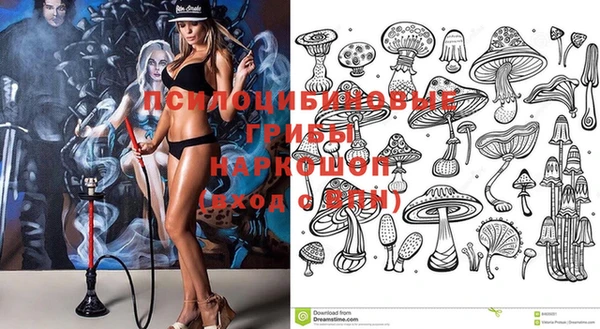 молекула духа Покачи