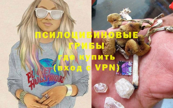 молекула духа Пролетарск