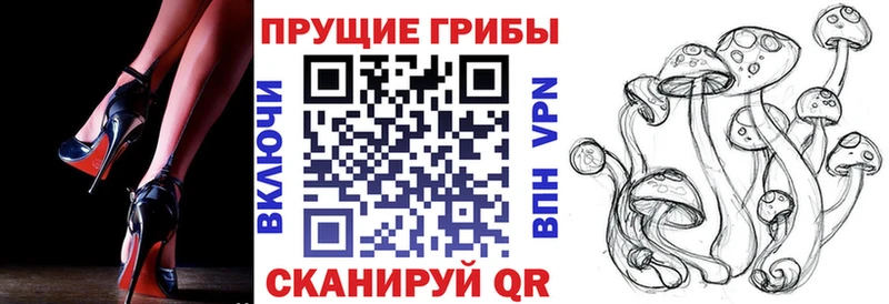 где можно купить   кракен маркетплейс  даркнет формула  Волжск  Галлюциногенные грибы мицелий 