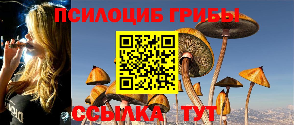 Галлюциногенные грибы Cubensis  Вход с VPN  Волжск  Галлюциногенные грибы мицелий 