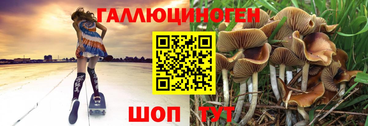 Псилоцибиновые грибы MAGIC MUSHROOMS Волжск