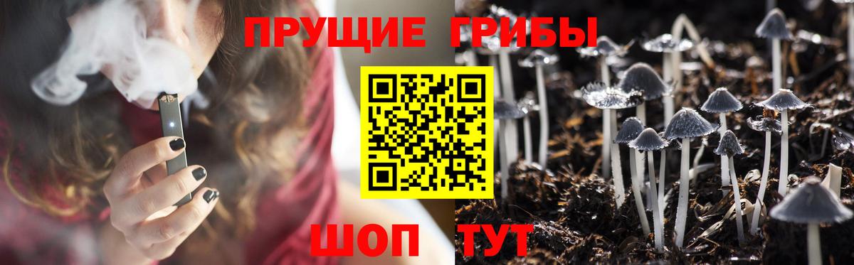 Галлюциногенные грибы Psilocybe Волжск